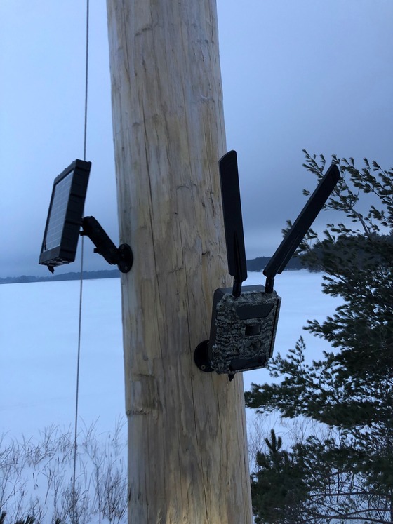 Camera mounted on pole