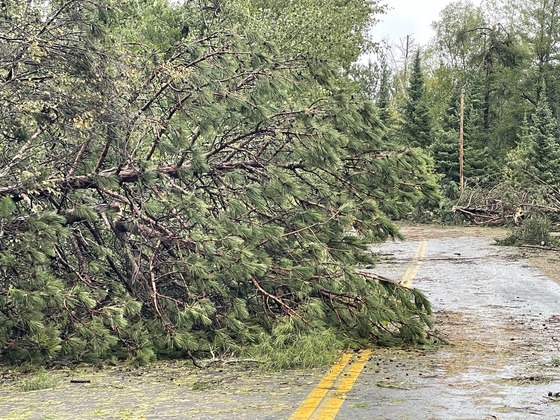 Storm damage - Bass Lake Road