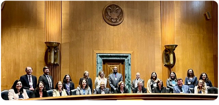 MNsure Bulletin: New CEO appointed & more