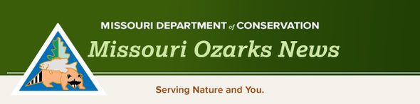 Missouri Ozarks Banner