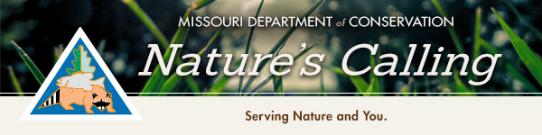 Nature's Calling Banner