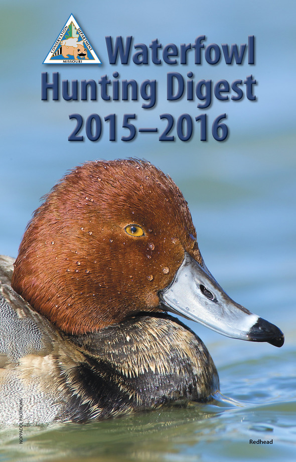 MDC Waterfowl Hunting Looking Good by the Numbers, but Habitat and