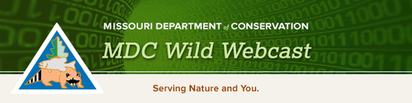 MDC wild webcast header
