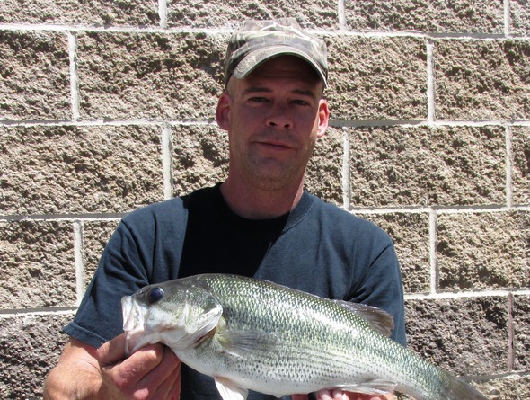 state-record spotted bass