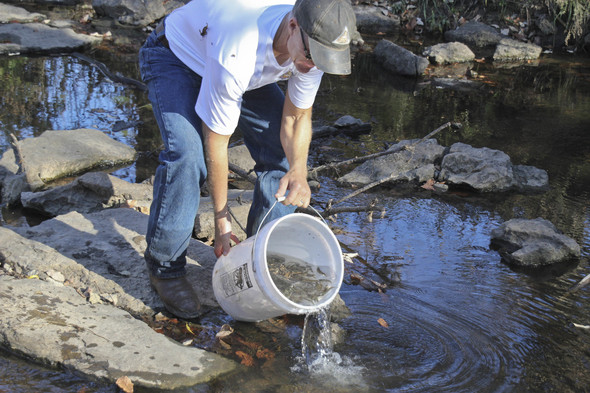 Topeka shiner release