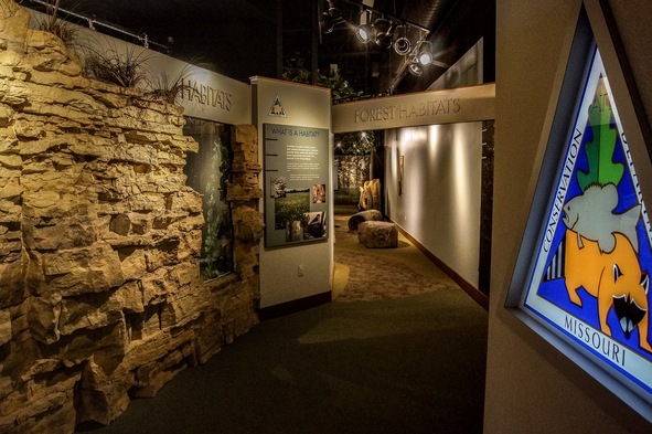 Entrance to renovated exhibits on forest habitat at Runge Nature Center in Jefferson City