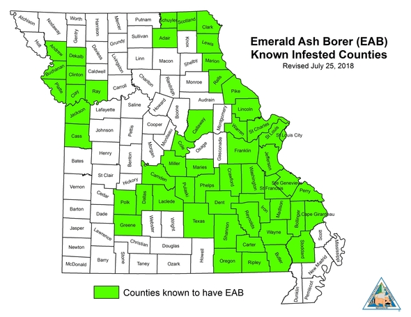 White map of Missouri's counties with counties known to have EAB highlighted in green - current July 25, 2018 