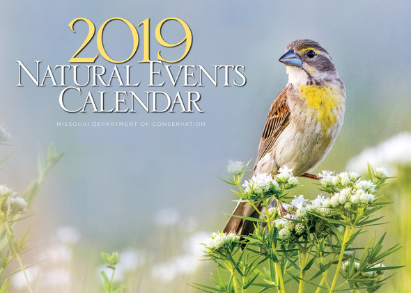 Discover nature with MDC 2019 Natural Events Calendar