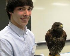 Falconer with his falcon
