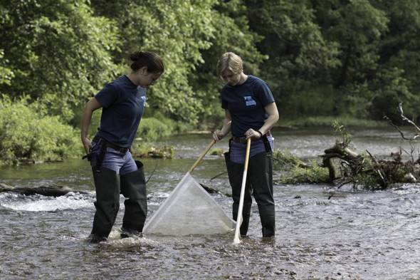 Two women wearing Missouri Stream Team t-shirts and hip waders stand in a stream with a kick-net. 