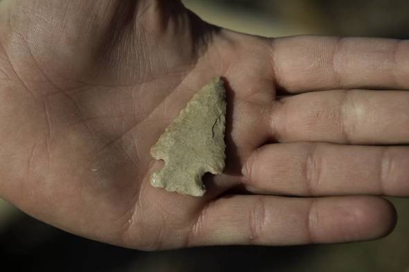 arrowhead photo for news nature center news release