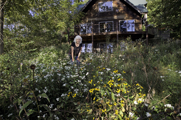 A landowner poses in a native wildflower planting beside her house.