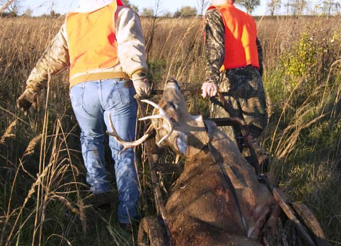 hunters dragging deer