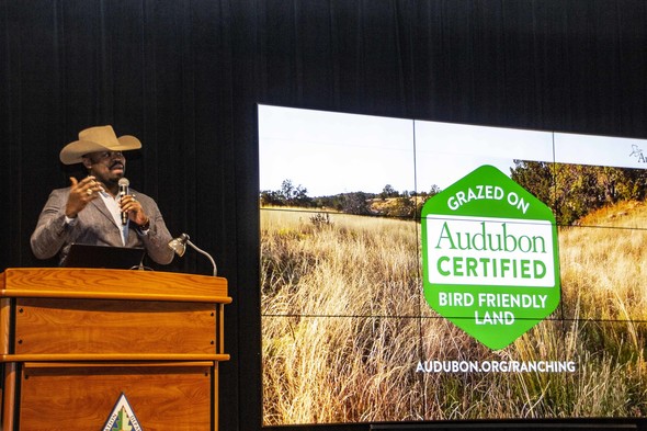 Marshall Johnson Audubon