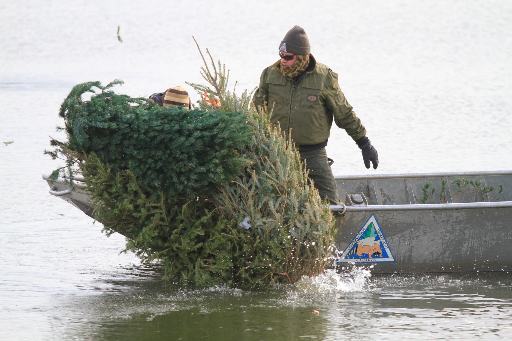 An MDC fiheries biologist drops a Christmas Tree into a lake from a boat.