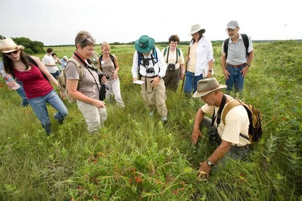 A group of volunteer naturalists stand in a prairie holding cameras, binoculars, and notes as they examine native plants. 