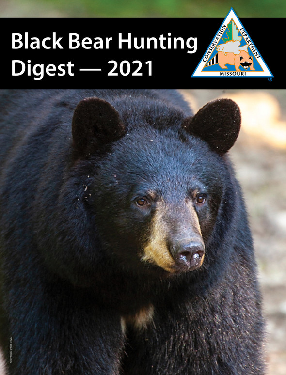 bear digest