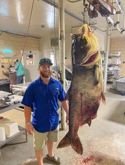 Matt Neuling with bighead carp