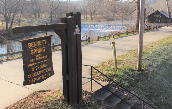 Bennett Spring Hatchery photo