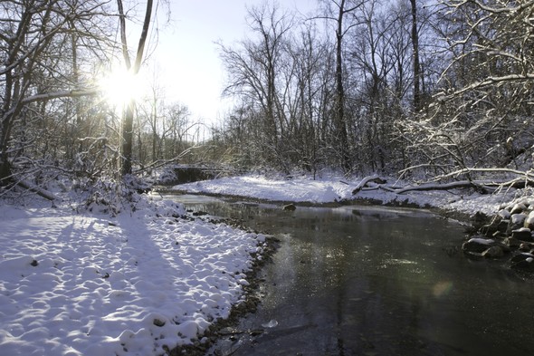 A forest stream winds its way toward the sun low on the horizon in a snow-covered winter scene.