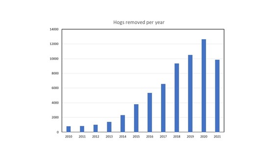 Feral hogs removed per year