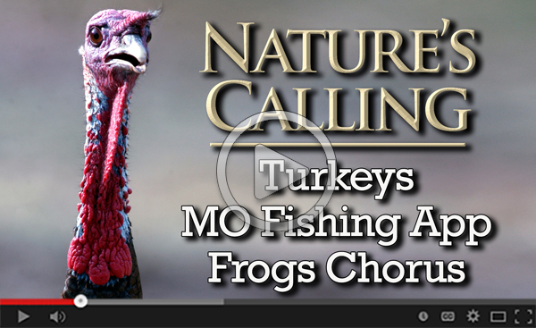 April Nature's Calling