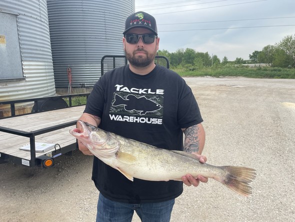 Tim Stillings holds state record walleye.