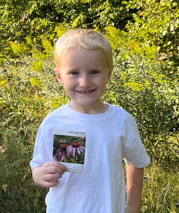 Young boy holds purple coneflower seed packet