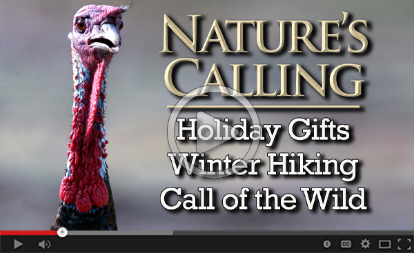 Nature's Calling December Edition