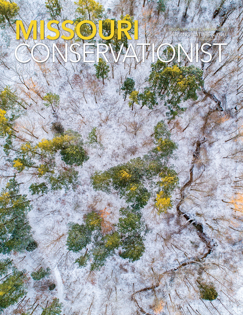 Aerial view of Holly Ridge Conservation Area