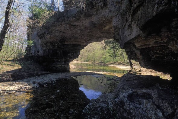 MDC staff work to remove storm debris from Spring Creek Gap and Clifty Creek Conservation Areas.