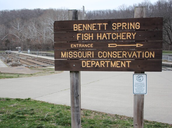 Bennett Spring construction update