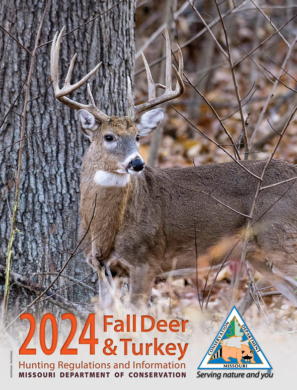 MDC reports 159,120 deer harvested during November portion of firearms