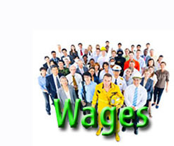 occupational wages