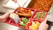 school meals