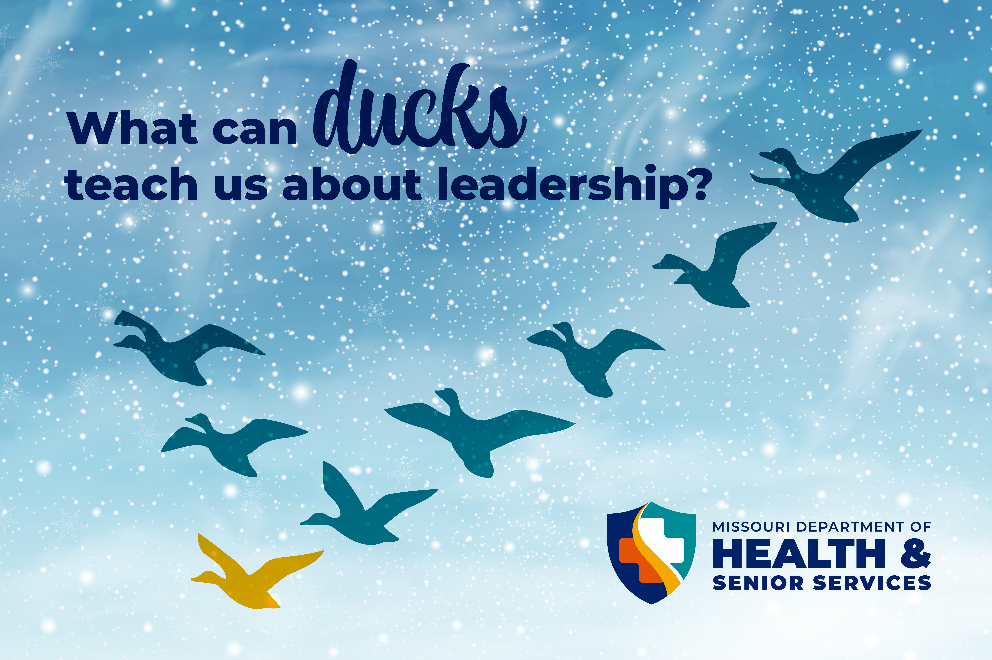 What can ducks teach us about leadership?