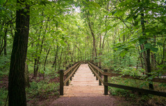 Boardwalk at George Washington Carver National Monument