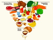 food pyramid