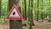 beware of ticks