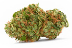 cannabis