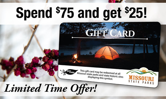 gift card promo