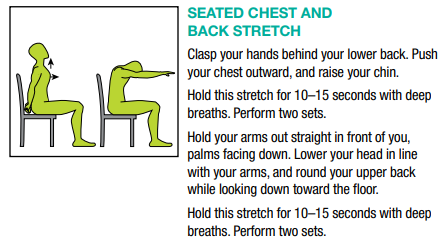 seated chest