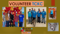TCKC PP Feb