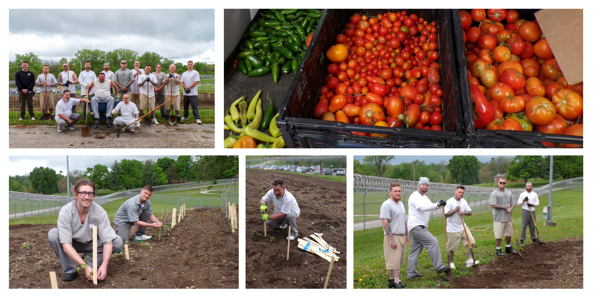 25 Things: We fed people Photo collage - prison gardens