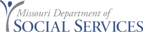 dss logo