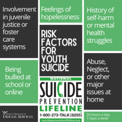 Risk factors for suicide