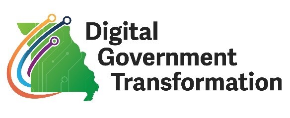 gov transformation