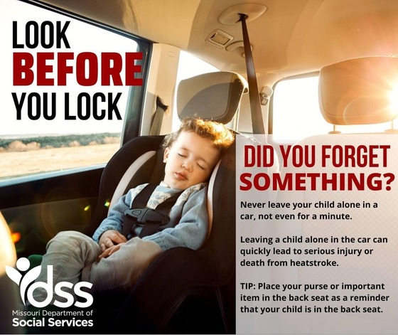 FSD- Look Before You Lock Graphic