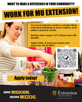 FSD- MU Extension hiring flyer