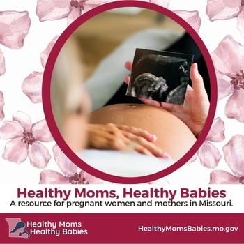 FSD- Healthy Moms Healthy Babies flyer